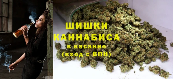 дмт Арсеньев