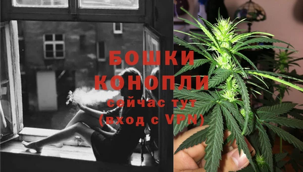 дмт Арсеньев