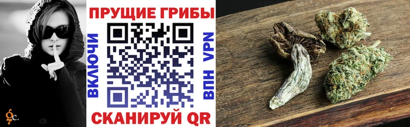 Купить где  Джанкой  Галлюциногенные грибы прущие грибы 